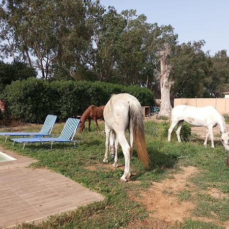 Centro Ecuestre Girasol Βίλα Chiclana de la Frontera Εξωτερικό φωτογραφία